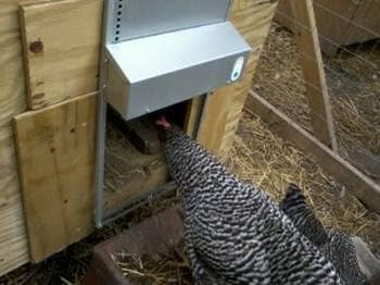Automatic Chicken Coop Door, ADOR1 Made in USA