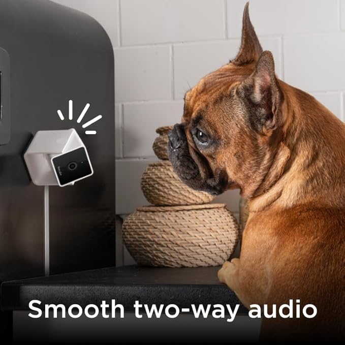 Petcube Cam Pack of 3 Indoor Home Security Cameras with 1080p HD Video, 2-Way Audio, Motion Detection, and Phone App, Night Vision Wi-Fi Camera for Apartment Security, Video Baby Monitor, Pet Camera