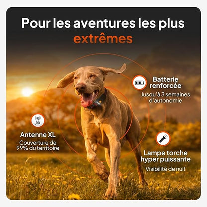 Weenect Dog XT - New GPS Collar for Dogs | XL Antenna | Waterproof | Ultra-Durable Integrated Julius-K9 Collar | Subscription Required