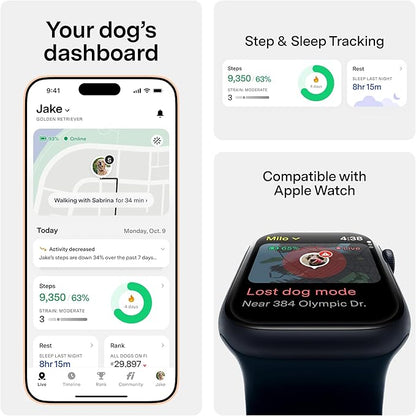 New Fi Series 3+ Smart Dog Tracker Collar [12 Month Membership Included] GPS Tracker for Dogs with Health & Behavior Monitoring, Escape Alerts, Waterproof, LED, Apple Watch Compatible (Yellow, Medium)