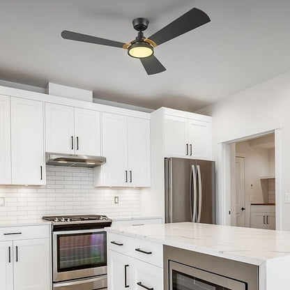 SMAAIR 56 Inch Smart Wifi Ceiling Fans with Dimmable LED Lights and Remote, Compatible with Alexa/Google Home/Siri/APP, Outdoor DC Fans with 10 Speeds, Timer/Schedule,Black/Gold