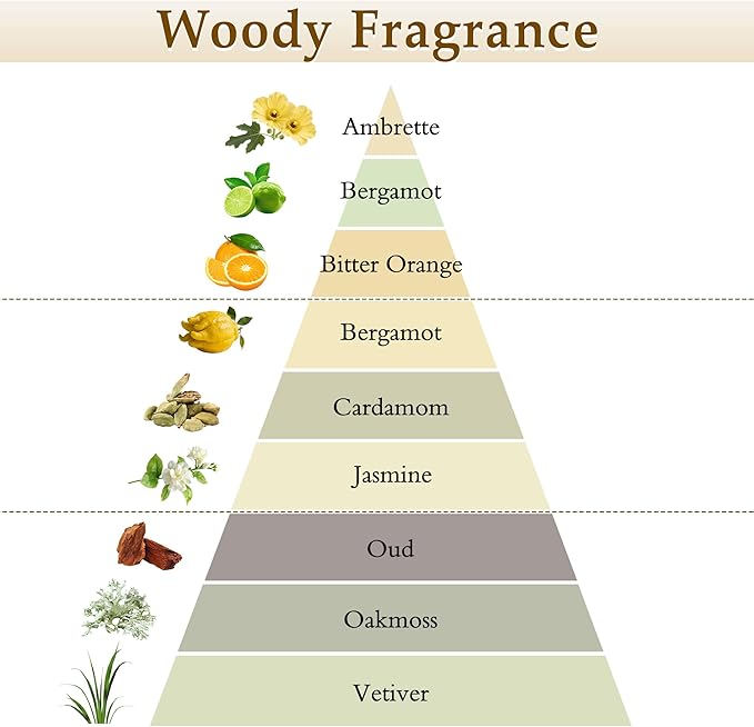 XEPTLE Reed Diffuser Set, 7.04 oz Oud & Bergamot Scent Diffuser with 5 Sticks, Long Lasting Air Freshener, Essential Oil Reed Diffuser for Home, Home Fragrance for Office, Bathroom Shelf Decor, Black