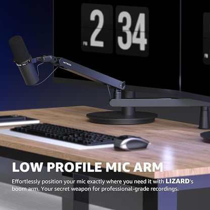IXTECH Mic Arm Desk Mount, Low Profile 360° Swivel Mic Boom Arm, Adjustable Microphone Arm with Detachable Rise Column and Built-In Cable Management for Streaming and Recording.