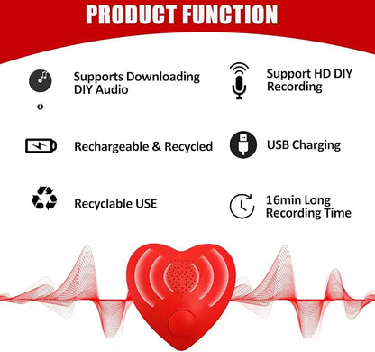 Voice Recorder, XLW 16min USB Downloadable, Recordable Sound Chips Module for Stuffed Animals,Personal Voice Message for Mother's Day Christmas Plush Toy, DIY Creative Presents for Boys, Girls-2P.