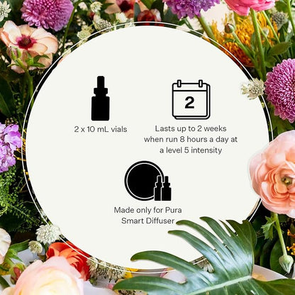 Pura Smart Home Plug-in Diffuser Refills by Apotheke, (Canvas, 2-Pack) - Pura Fragrance Refills - Long-Lasting Aromatherapy Air Freshener Fragrance Products with Perfume-Grade Essential Oils