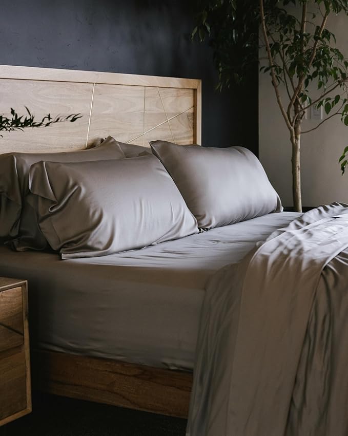 Cozy Earth Luxury Bed Sheet Set - 100% Viscose from Bamboo Fabric, Ultra-Soft & Breathable, Fits Regular & Deep Pocket Mattresses up to 20" - 4 Pieces Twin Sheet Set Dove Grey