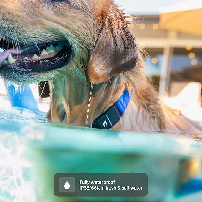 New Fi Series 3+ Smart Dog Tracker Collar [12 Month Membership Included] GPS Tracker for Dogs with Health & Behavior Monitoring, Escape Alerts, Waterproof, LED, Apple Watch Compatible (Yellow, Medium)