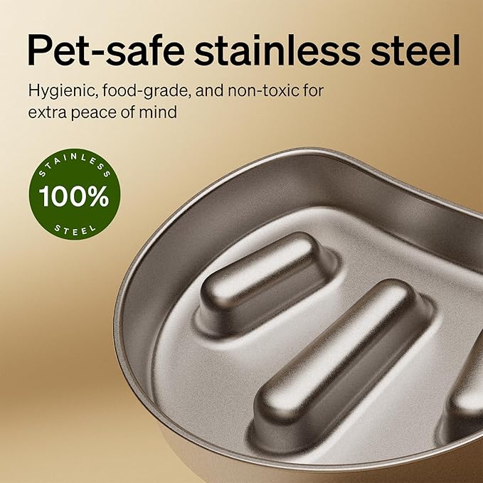 PETLIBRO Automatic Dog Feeder with Camera, Auto Cat Food Dispenser Slow Feeders Dogs Bowl, 1080P HD Video with Night Vision, 5G WiFi with 2-Way Audio, Stainless Steel Slow Food Tray