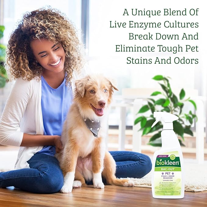 Biokleen Bac-Out Pet Urine Odor Eliminator - 32 Ounce Spray 2 Pack - Enzymatic, Natural, Destroys Stains & Odors Safely, for Pet Stains on Carpets & Furniture - Micro Towel Included