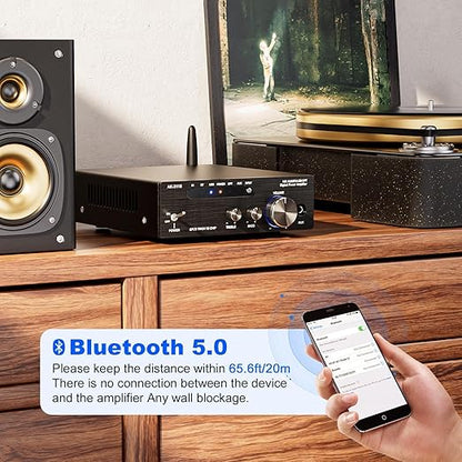 Facmogu AK-3116 HiFi Digital Amplifier, Bluetooth 5.3 200W Dual TPA3116 2 Channel 2x100W Class D Stereo Receiver w/RCA, USB, Optical, FM, Mini Amp Audio System for Home, Outdoor, w/ 24V Power Supply