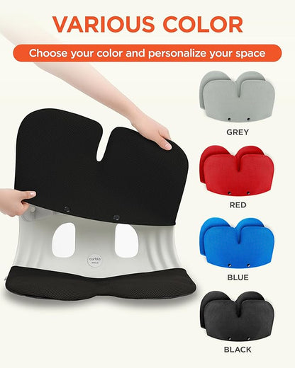 curble Grand Cover, Detachable Cover for Adult Chair, Ergonomic Chair Back Support and Lumbar Support (Black)